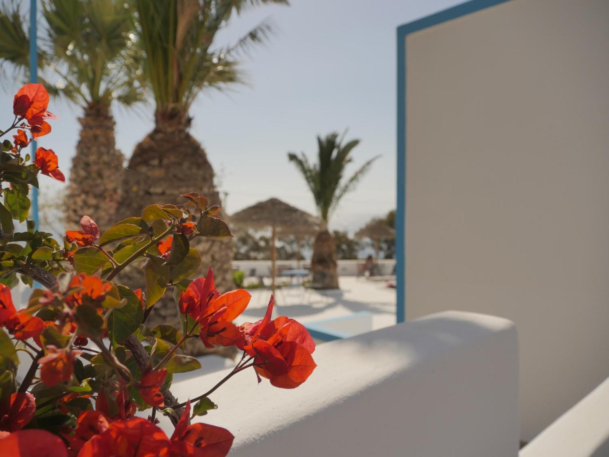 Ancient Thera Studios Kamari&Swimming Pool Exterior foto